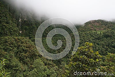 North Yungas Road, Bolivia Stock Photo