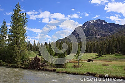 Northeast Entrance Road Yellowstone Stock Photo