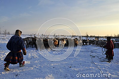 Northern aboriginals. Russia. Yamal. Nadym. Editorial Stock Photo