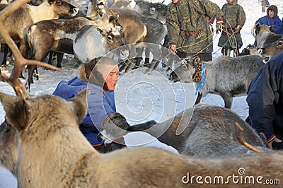 Northern aboriginals. Russia. Yamal. Nadym. Editorial Stock Photo
