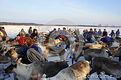 Northern aboriginals. Russia. Yamal. Nadym. Editorial Stock Photo