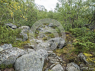 Northern artic landscape, tundra in Swedish Lapland with granite stone and boulders, birch bush, green hills and Stock Photo