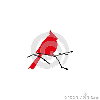 Northern cardinal and black branch. Redbird Christmas card Cartoon Illustration