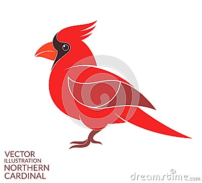 Northern cardinal Vector Illustration