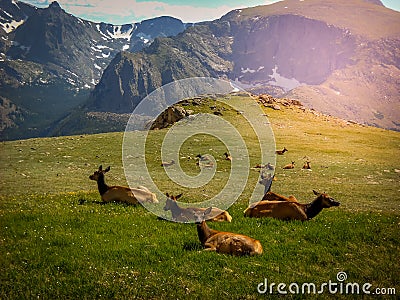 Northern Colorado Estes Park Colorado Rocky Mountain National Park Stock Photo