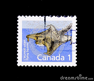 Northern Flying Squirrel Glaucomys sabrinus, Definitives 1988-93: Canadian Mammals serie, circa 1991 Editorial Stock Photo