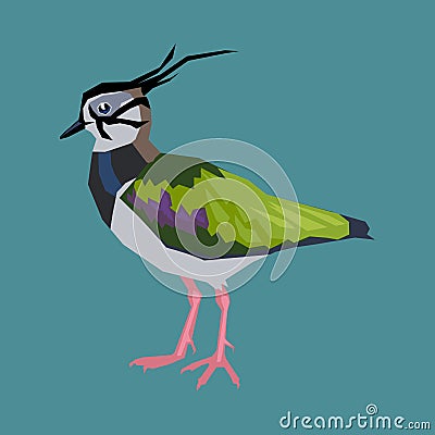 Northern Lapwing Bird clip art Vector Illustration