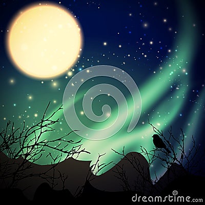 Northern lights Vector Illustration