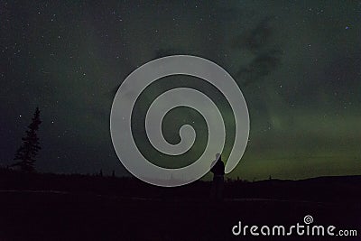 Northern lights arcoss the blacked skies of an Alaskan life staring up at the stars. Northern lights across the black spruces on Stock Photo