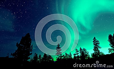 Northern Lights aurora borealis over trees Stock Photo