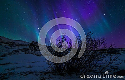 Northern Lights Stock Photo