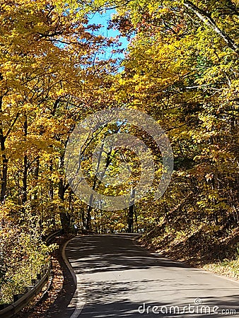 Northern Michigan Tunnel of Trees in Aut Stock Photo