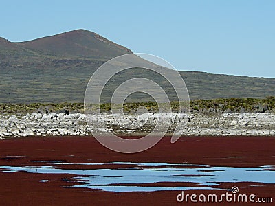 Northern Patagonia Stock Photo