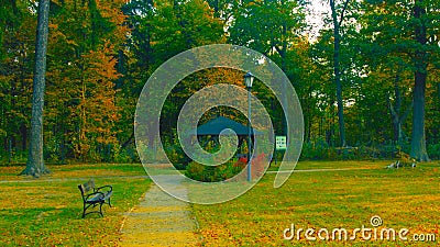 Northern Poland./ Autumn road. Pathway through the autumn forest Stock Photo