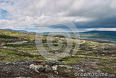 Northern polar summer in the tundra. Hill. Coast of the Arctic Ocean, Barents Sea beach, Russia Stock Photo