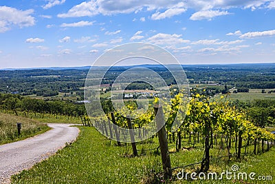 Northern Virginia Countryside Stock Photo