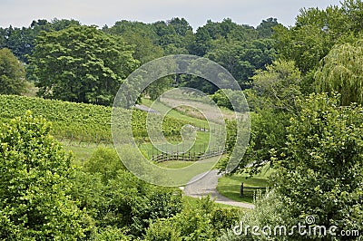 Northern Virginia vineyard land Stock Photo