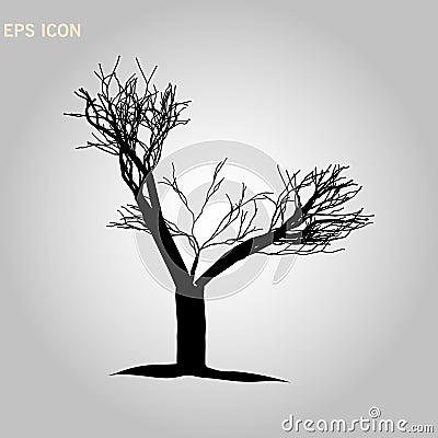 Norway maple architectonics. The structure of the tree branches and trunk. Vector drawing of the tree on a white background eps 10 Stock Photo