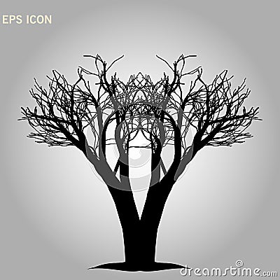 Norway maple architectonics. The structure of the tree branches and trunk. Vector drawing of the tree on a white background eps10 Stock Photo