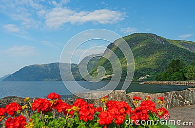 Norway - mountain sea view. Norwegian fjords with red flowers Stock Photo