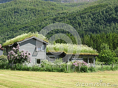 Norway typical farm house Stock Photo