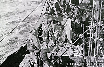 Norwegian fishermen holding up a cod fish Cartoon Illustration