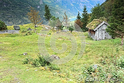 Woodland scenery near Briksdal glacier, Olden - Norway - Scandinavia Stock Photo