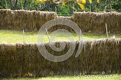 Norwegian traditioinal hay drying, Husmannsplassen Kjelvik, Leirfjord, Norland County, Norway Stock Photo