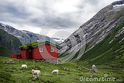 Norwegian typical grass roof red wooden house in scandinavian panorama Stock Photo