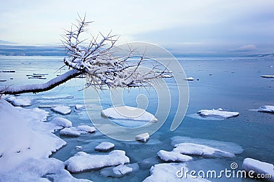 Norwegian winter fjord landscape with tree and ice Stock Photo