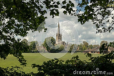 Norwich cathedral framed by tree branches Editorial Stock Photo