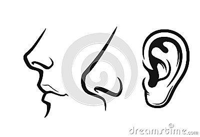 Nose, mouth, ear Vector Illustration