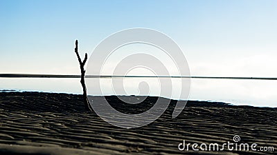 A nostalgic horizon in Nudgee, Australia Stock Photo