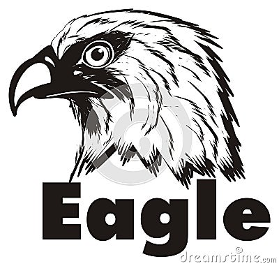 Not colored head of eagle with name Stock Photo