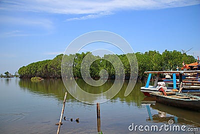 Fishing boats that are sitting on the shore, Stock Photo