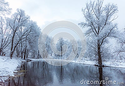 Not frozen pond in winter Stock Photo