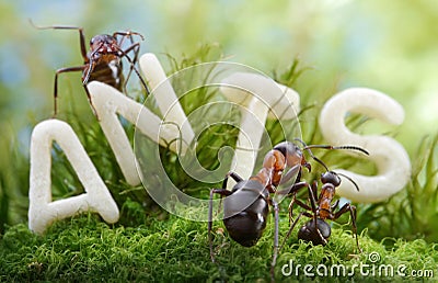 Not worm, but letter S ! forest school, ant tales Stock Photo