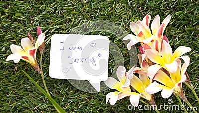 Note in shape of a chat bubble, with words I am sorry! Stock Photo