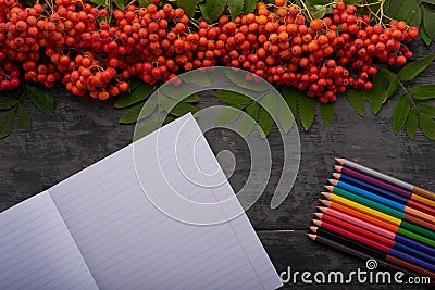 Notebook, colored pencils and bunch of rowan on a table Stock Photo