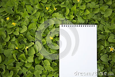 The notebook lies in the greenery. Closeup. Stock Photo