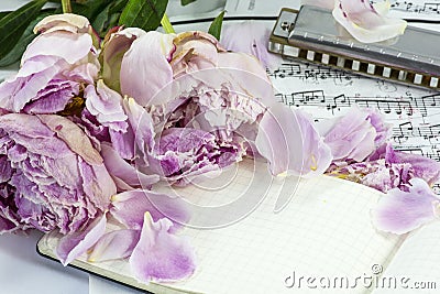 Notebook with withered peonies and harmonica Stock Photo