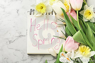 Notebook with words HELLO SPRING and fresh flowers on white marble table, flat lay Stock Photo