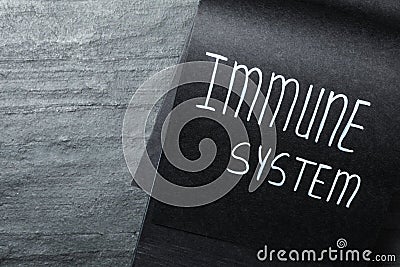 Notebook with words Immune System on black table, top view. Space for text Stock Photo