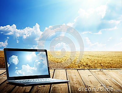 Notebook and yellow wheat field Stock Photo