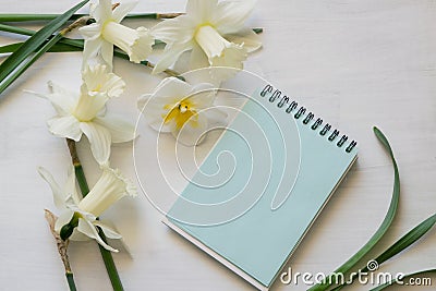Notepad, daffodils on a white background. Inspirational workplace. Stock Photo