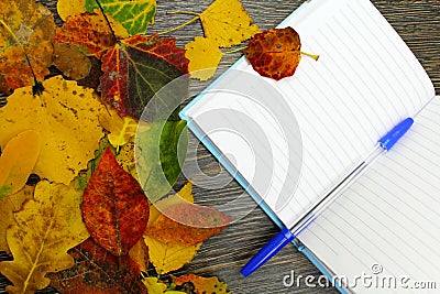 Notepad with pen on a table with fallen leaves. Stock Photo