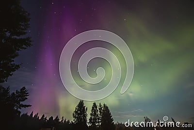 Beautiful aurora borealis, nothern lights in Karelia, Russia Stock Photo
