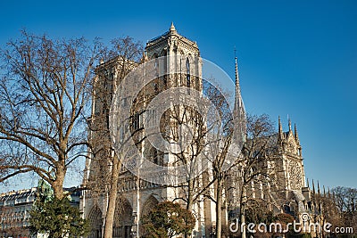 Notre Dame Cathedral behind some trees Stock Photo