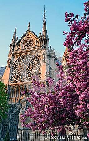 Notre - Dame de Paris in the sping Stock Photo