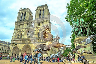 Notre Dame pigeon flight Stock Photo